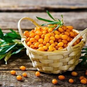 Premium Kashmiri Sea Buckthorn Berries – Nature's Most Nutrient-Dense Superfood