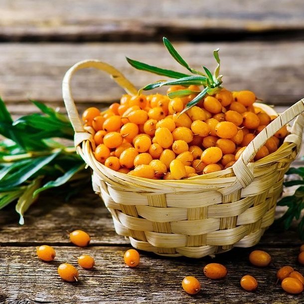 Premium Kashmiri Sea Buckthorn Berries – Nature's Most Nutrient-Dense Superfood